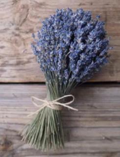 appartement coconing - Le Havre - 1