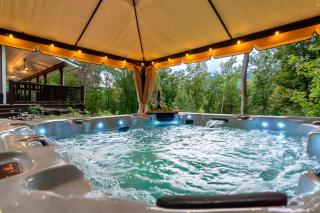 Wellness Retreat Zen Oasis DOGS Spa Hot Tub - 3