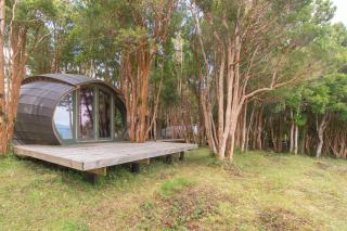 On a remote island surrounded by pure nature - - 6