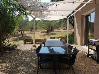 Mas provençal de charme au milieu des oliviers - 5