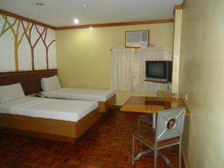 Park Bed and Breakfast Hotel Pasay - Manila - 7