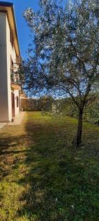 PM 23 Via Rogge Guest House - Rosà - 9