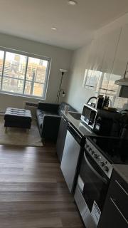 Great view 1BDRM APTR in heart of Montreal DWTN - Montreal - 1