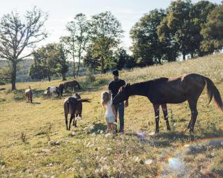 Yourte au coeur des chevaux - 1