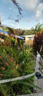 Le LiloVert - Studio 24 m2 - 9