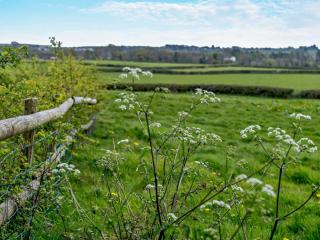 1 Bed in Gower 74221 - Ilston - 7