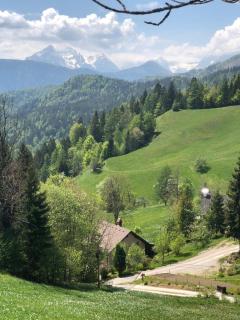 LUX in BOHINJ - Bohinj - 8