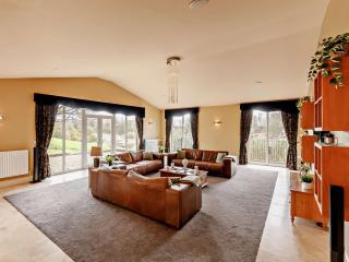 6 Bed in Ellington 91805 - 7