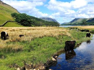 1 Bed in Keswick 86246 - Rosthwaite - 1