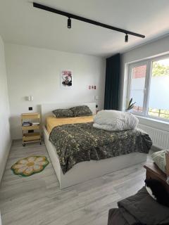 Apartment in green Ghent - Gent - 2