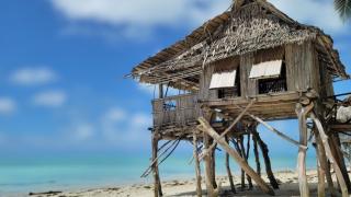 Terau Beach Bungalow - - 4