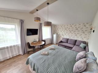 Viesu nams ADLERI - 1