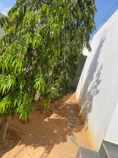 Villa Yassine - 3