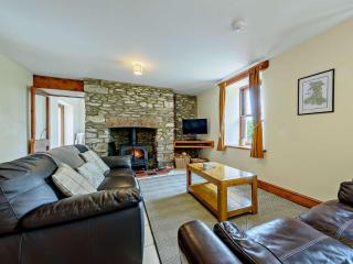 3 Bed in New Quay LLWYD - Pencader - 1