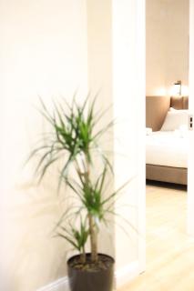 Rooms Kruja City - 3