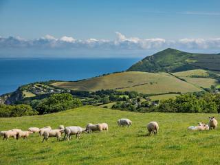 1 Bed in Combe Martin 95228 - Combe Martin - 9