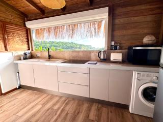 Cocotier, élégant T3 avec jardin tropical - 2