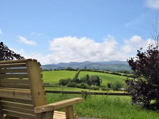 2 Bed in Betws-y-Coed 78601 - Llanddoget - 8