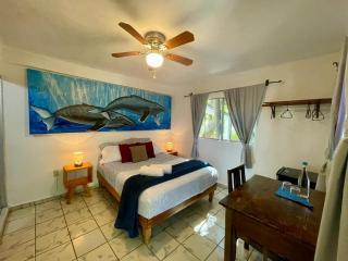 Hotel Posada Señor Mañana - San José del Cabo - 3