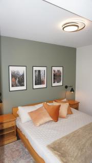 New Vaulted Ceilings 3 Beds AC Views - 1