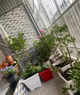 Hiwinwin Homestay Holiday - 0