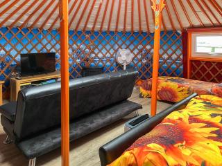 Orange Yurt - Uk48018 - 8