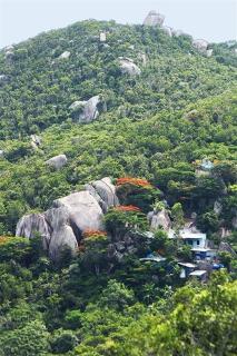 Hiwinwin Homestay Holiday - Chợ Phước Hải - 5