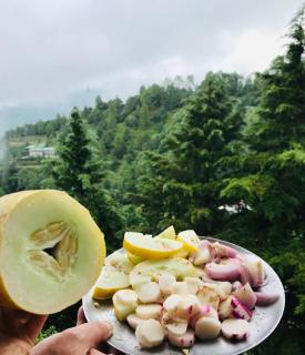 The Alpine Ramgarh - Rāmgarh - 7