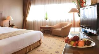 Danau Toba Hotel International - Medan - 6