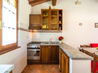 Authentic farmhouse in Castiglion Fiorentino with organic wines - Castiglion Fiorentino - 7