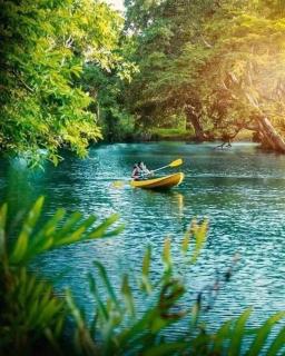Wilpattu Green Cabin - Achchamulai - 3