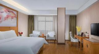 Vienna Hotel Anhui Bozhou Lixin Yuanli Plaza - 8