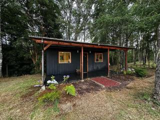 Pichihuape Lodge - Valdivia - 8