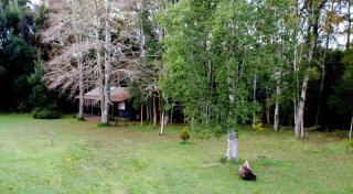 Pichihuape Lodge - 1