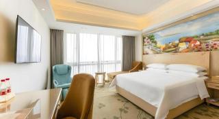 Vienna Hotel Chongqing Yangjiaping Pedestrian Street Light Railway Station - 5
