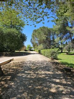 Appartement - mas provençal - Sernhac - 5