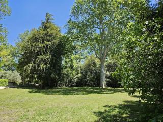 Appartement - mas provençal - Sernhac - 2