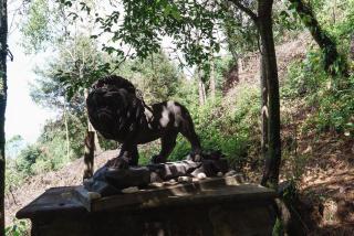 Find Your Perfect Mountain Retreat at House Sun -  - 3