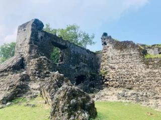 Delft quick tours and travals To explore the delft island - - 2