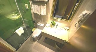 GreenTree Inn Anqing Wangjiang County Lantian Road Yiheyuan Express Hotel - 2