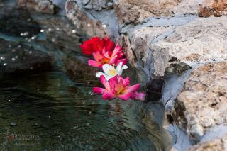 Rooms Stanic - Velika Gorica - 4