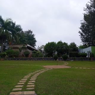 Birchwood Garden Hotel - 5