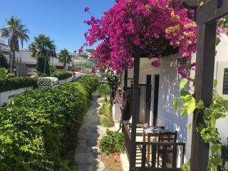 Salinas Beach Hotel Bodrum-Boutique Concept - Gümbet - 1