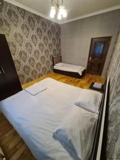 Green house Orx - Gabala - 6