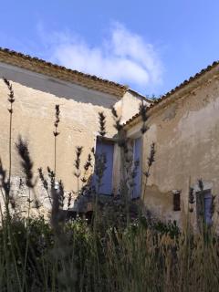 Le Rocan Roux - Aubignan - 8