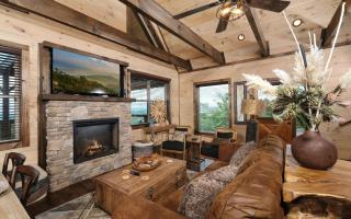 Chestnut Bearadise - 2