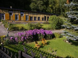 Idyllic studio apartment near Kaifenheim and near the forest - Kaifenheim - 9