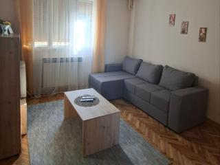 Apartmani Arsic - Vrnjačka Banja - 4