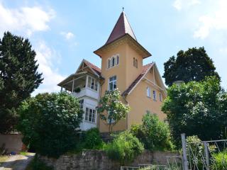 Modern apartment in a listed villa with beautiful view from balcony - Bad Suderode - 9