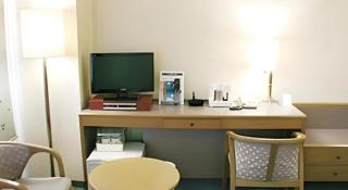 Shizuoka Daiichi Hotel - Shizuoka - 1